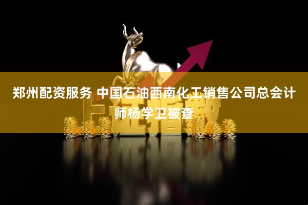 郑州配资服务 中国石油西南化工销售公司总会计师杨学卫被查