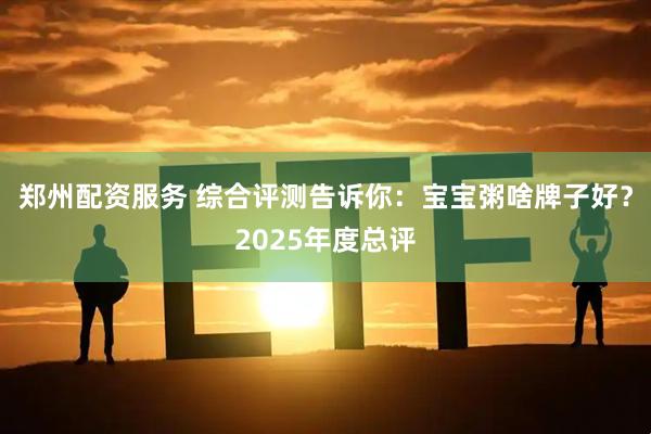 郑州配资服务 综合评测告诉你：宝宝粥啥牌子好？2025年度总评